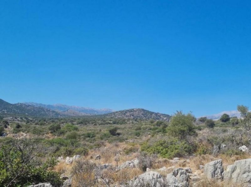 Agios Nikolaos Kreta, Agios Nikolaos: Baugrundstück mit Meerblick zu verkaufen Grundstück kaufen